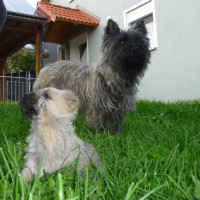 sancho1
